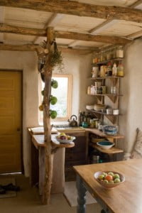 Tiny kitchen with log pillar